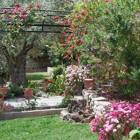 Vilă Penelope Megali Ammos (Skiathos)